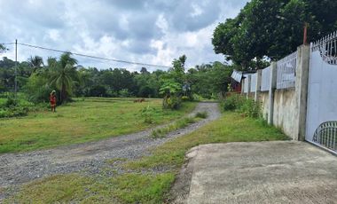 Residential Lot located at Ilaya, Bugasong