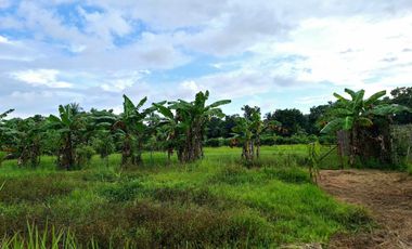 Residential Lot located at Ilaya, Bugasong