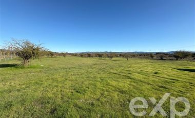 Sitio en Venta en Valle Marchigue Yerbas Buenas lote 2