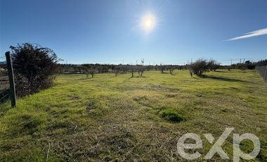 Sitio en Venta en Valle Marchigue Yerbas Buenas lote 2