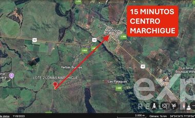 Agrícola en Venta en Valle Marchigue Yerbas Buenas lote 2