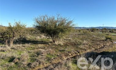 Parcela en Venta en Valle Marchigue Yerbas Buenas lote 2