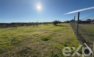 Parcela en Venta en Valle Marchigue Yerbas Buenas lote 2