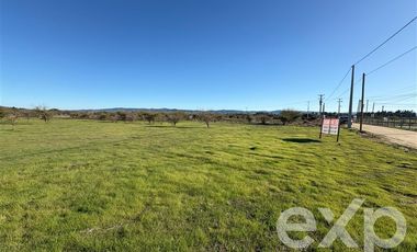 Parcela en Venta en Valle Marchigue Yerbas Buenas lote 2