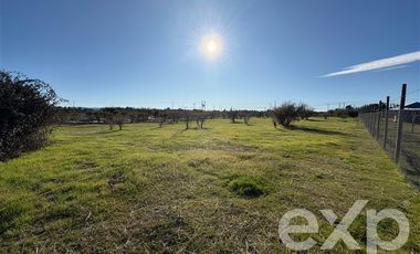 Terreno Construccion en Venta en Valle Marchigue Yerbas Buenas lote 2