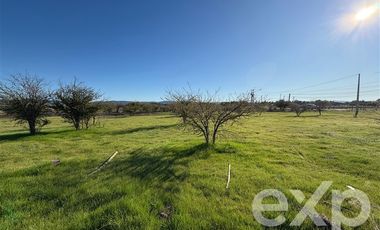 Terreno Construccion en Venta en Valle Marchigue Yerbas Buenas lote 2
