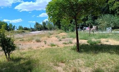 ALQUILER DE PARCELA, EN SENILLOSA