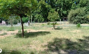 ALQUILER DE PARCELA, EN SENILLOSA