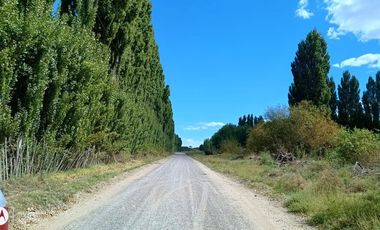 ALQUILER DE PARCELA, EN SENILLOSA