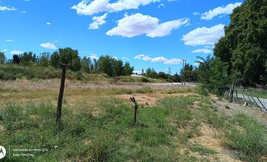 ALQUILER DE PARCELA, EN SENILLOSA