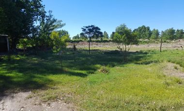 ALQUILER DE PARCELA, EN SENILLOSA