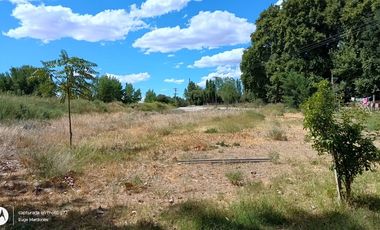 ALQUILER DE PARCELA, EN SENILLOSA