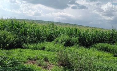 RANCHO EN VENTA EN PEDRO ESCOBEDO, QUERÉTARO.