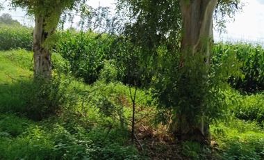 RANCHO EN VENTA EN PEDRO ESCOBEDO, QUERÉTARO.