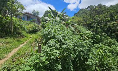 10k/sqm (552sq.m) Titled Lot for Sale in Lucnab, Baguio City