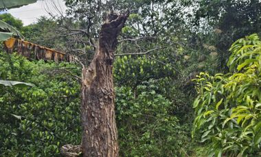 10k/sqm (552sq.m) Titled Lot for Sale in Lucnab, Baguio City
