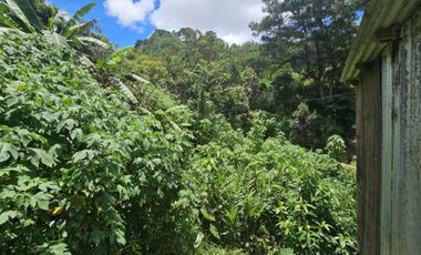 10k/sqm (552sq.m) Titled Lot for Sale in Lucnab, Baguio City