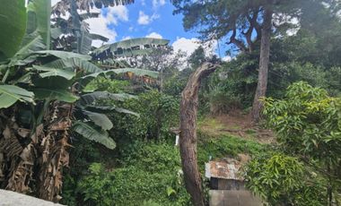 10k/sqm (552sq.m) Titled Lot for Sale in Lucnab, Baguio City