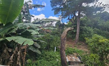 10k/sqm (552sq.m) Titled Lot for Sale in Lucnab, Baguio City