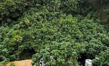 Residential Lot for Sale in Kitma, Baguio City (Almost Flat Terrain)
