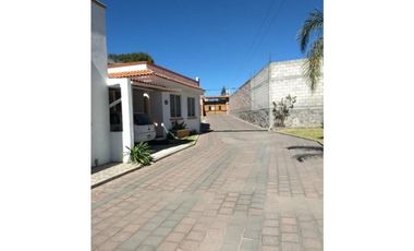 RENTA CASA CAMINO REAL