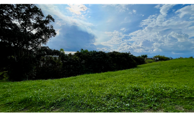 Extraordinaro terreno con bosque nativo y nacimiento de agua en Malabar Condominio Campestre. Cerritos. Pereira - Colombia.