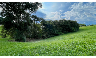 Extraordinaro terreno con bosque nativo y nacimiento de agua en Malabar Condominio Campestre. Cerritos. Pereira - Colombia.