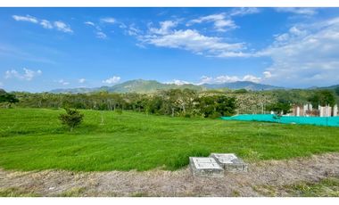Majestuoso terreno con bosque nativo y vista a los nevados en Tipuana Condominio Campestre. Cerritos. Pereira - Colombia.