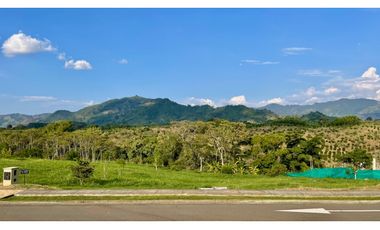Majestuoso terreno con bosque nativo y vista a los nevados en Tipuana Condominio Campestre. Cerritos. Pereira - Colombia.