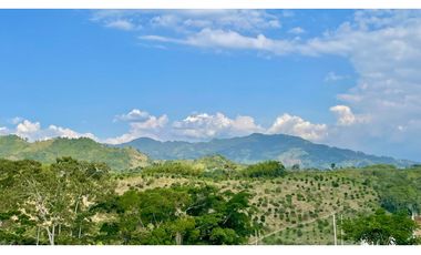 Majestuoso terreno con bosque nativo y vista a los nevados en Tipuana Condominio Campestre. Cerritos. Pereira - Colombia.