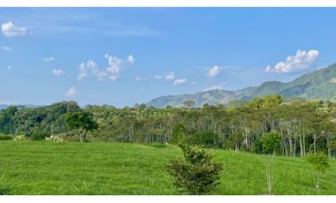 Majestuoso terreno con bosque nativo y vista a los nevados en Tipuana Condominio Campestre. Cerritos. Pereira - Colombia.