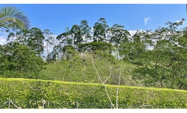 Majestuosa casa campestre vía Alcala ideal para Hotel Campestre. Hacienda Cafetera. Pereira - Colombia.