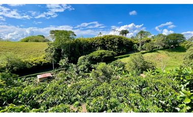 Majestuosa casa campestre vía Alcala ideal para Hotel Campestre. Hacienda Cafetera. Pereira - Colombia.