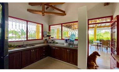 Majestuosa casa campestre vía Alcala ideal para Hotel Campestre. Hacienda Cafetera. Pereira - Colombia.