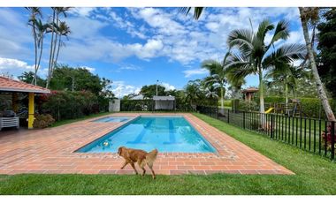Majestuosa casa campestre vía Alcala ideal para Hotel Campestre. Hacienda Cafetera. Pereira - Colombia.