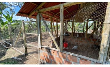 Majestuosa casa campestre vía Alcala ideal para Hotel Campestre. Hacienda Cafetera. Pereira - Colombia.