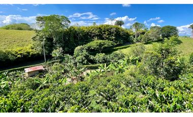 Majestuosa casa campestre vía Alcala ideal para Hotel Campestre. Hacienda Cafetera. Pereira - Colombia.