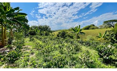 Majestuosa casa campestre vía Alcala ideal para Hotel Campestre. Hacienda Cafetera. Pereira - Colombia.