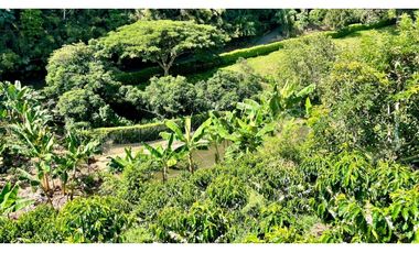 Majestuosa casa campestre vía Alcala ideal para Hotel Campestre. Hacienda Cafetera. Pereira - Colombia.