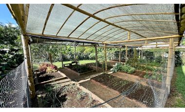 Majestuosa casa campestre vía Alcala ideal para Hotel Campestre. Hacienda Cafetera. Pereira - Colombia.