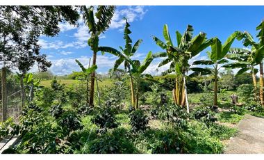 Majestuosa casa campestre vía Alcala ideal para Hotel Campestre. Hacienda Cafetera. Pereira - Colombia.