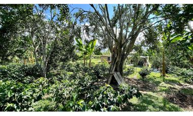 Majestuosa casa campestre vía Alcala ideal para Hotel Campestre. Hacienda Cafetera. Pereira - Colombia.