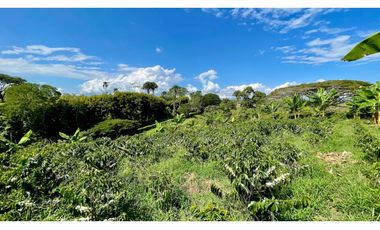 Majestuosa casa campestre vía Alcala ideal para Hotel Campestre. Hacienda Cafetera. Pereira - Colombia.