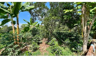 Majestuosa casa campestre vía Alcala ideal para Hotel Campestre. Hacienda Cafetera. Pereira - Colombia.