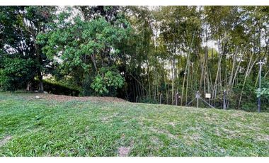 Magnífico terreno plano en el Tigre Condominio Campestre con bosque nativo. Cerritos. Pereira - Colombia