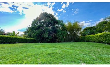 Magnífico terreno plano en el Tigre Condominio Campestre con bosque nativo. Cerritos. Pereira - Colombia