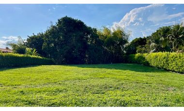 Magnífico terreno plano en el Tigre Condominio Campestre con bosque nativo. Cerritos. Pereira - Colombia