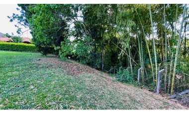 Magnífico terreno plano en el Tigre Condominio Campestre con bosque nativo. Cerritos. Pereira - Colombia