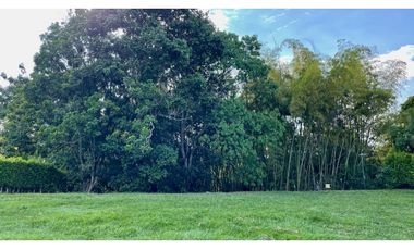 Magnífico terreno plano en el Tigre Condominio Campestre con bosque nativo. Cerritos. Pereira - Colombia
