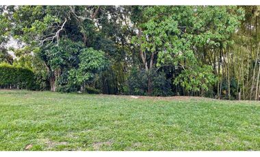 Magnífico terreno plano en el Tigre Condominio Campestre con bosque nativo. Cerritos. Pereira - Colombia